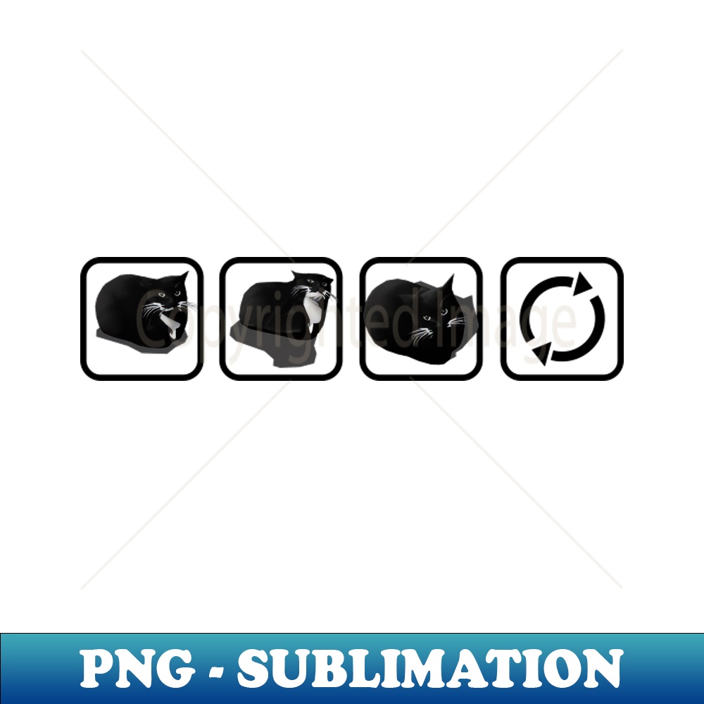 NB-20231114-14130_Maxwell Loop - horizontal - black 8639.jpg