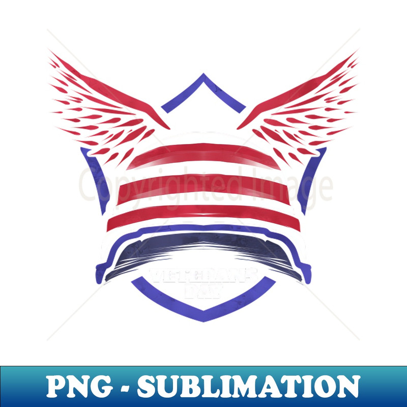 NR-20231114-16281_Patriotic Helmet And Wings On Veterans Day 5110.jpg