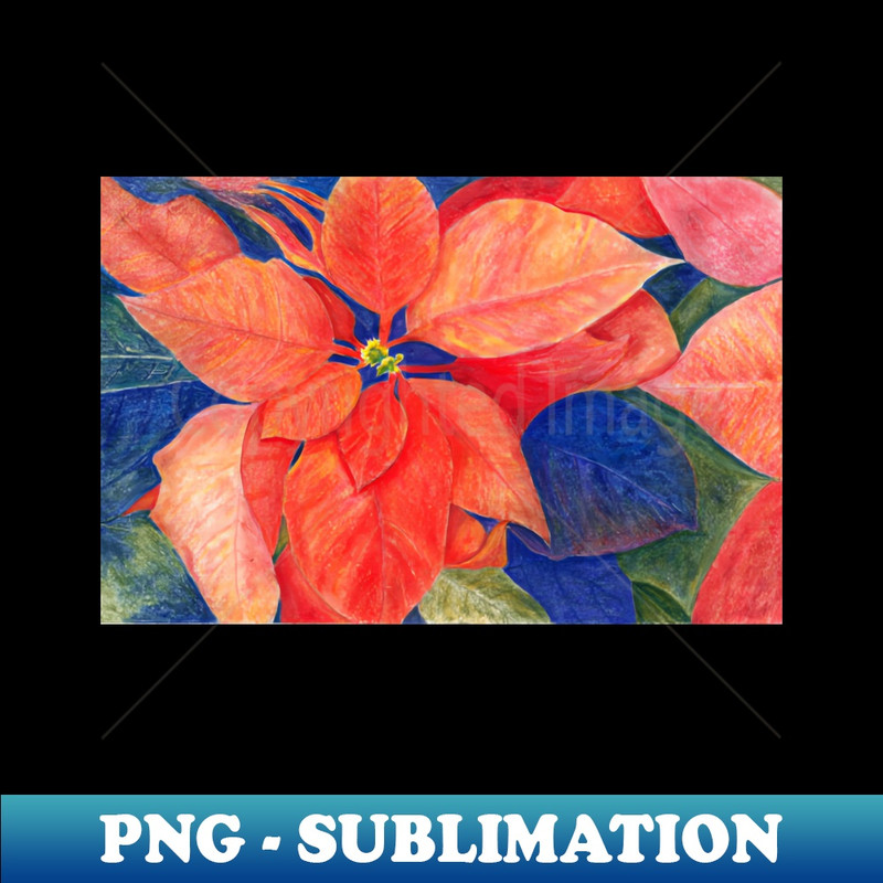 OC-20231114-16047_Orange Red Poinsettia 9437.jpg