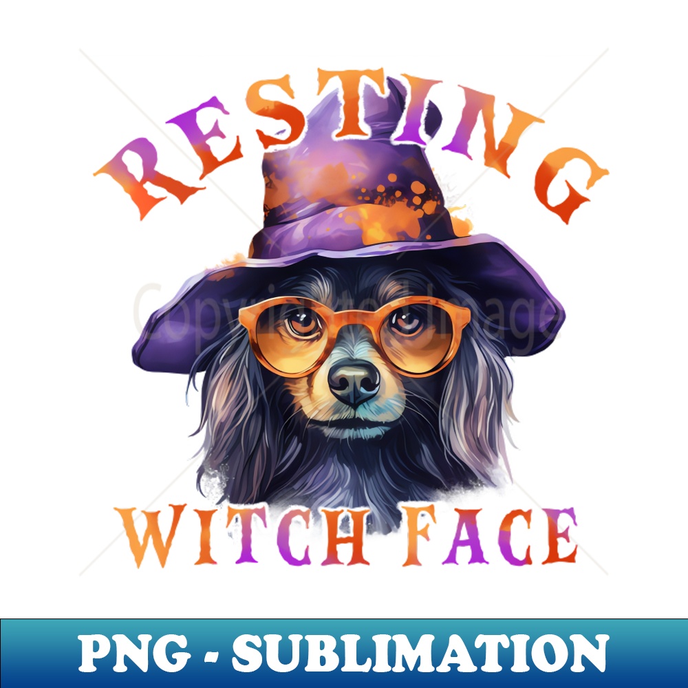 OW-20231114-17646_Resting Witch Face dog wearing a hat  glasses 8999.jpg