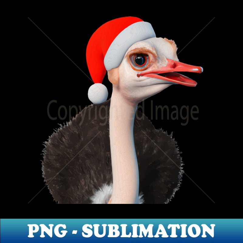 OZ-20231114-8380_Funny Christmas Ostrich in Santa Hat 4471.jpg