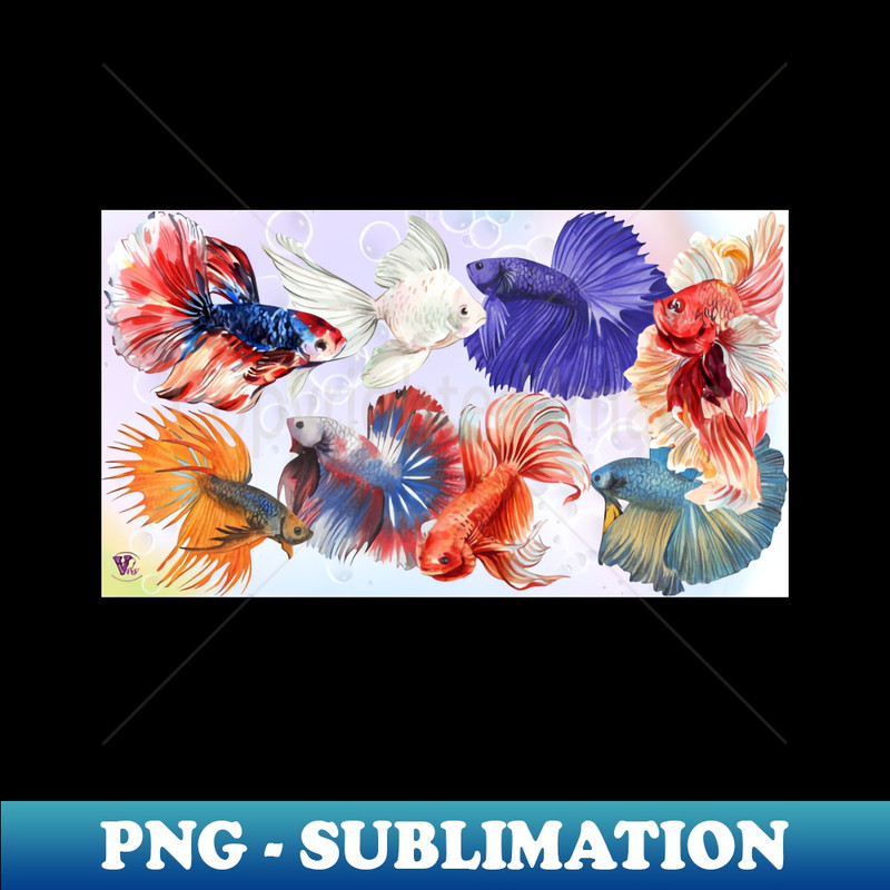 PQ-20231114-4894_Colorful Fishes 7365.jpg