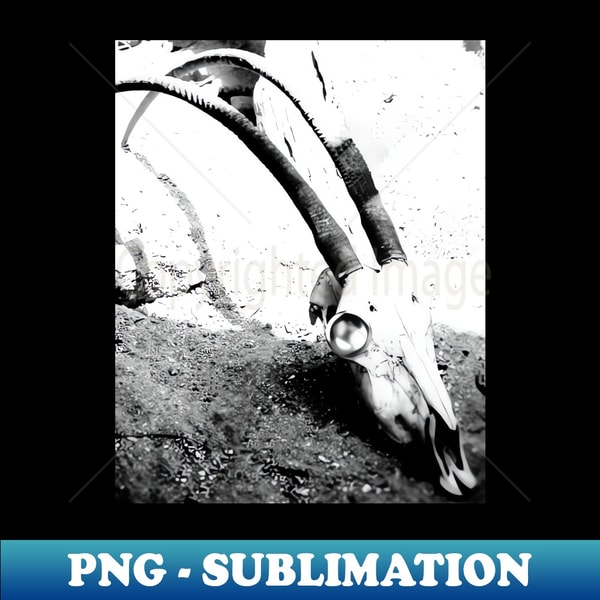 PT-20231114-1293_Animal Skull with Horns Spooky Scary 2833.jpg