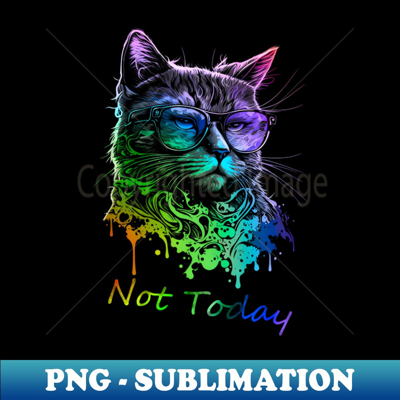 PY-20231114-15746_Not Today - Cool Cat 8052.jpg