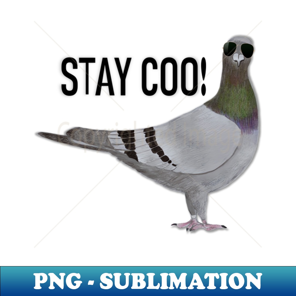 QG-20231114-19616_Stay Coo Says the Pigeon 7398.jpg