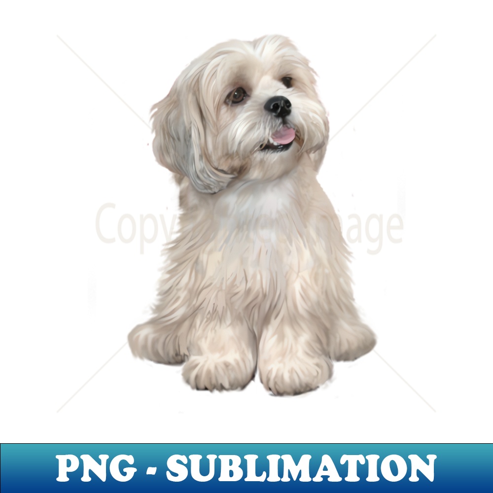 QO-20231114-568_A Lhasa Apso cream - Just the Dog 3813.jpg