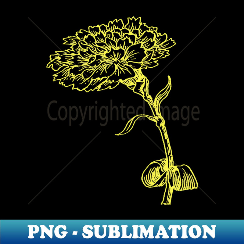 QQ-20231114-22102_Vintage Carnation Botanical Line Art Illustration Yellow Ink 8851.jpg