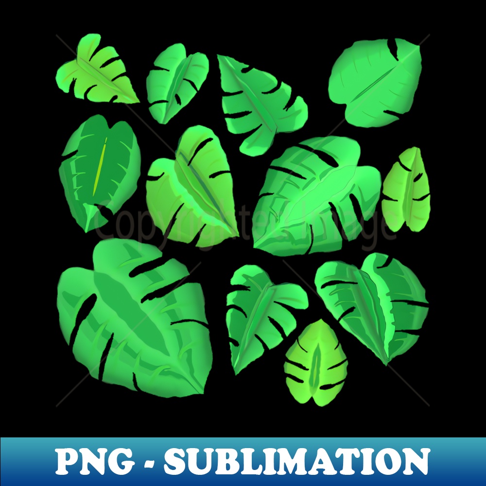 QV-20231114-14760_Monstera Plant Leaf Pattern White Background 4520.jpg