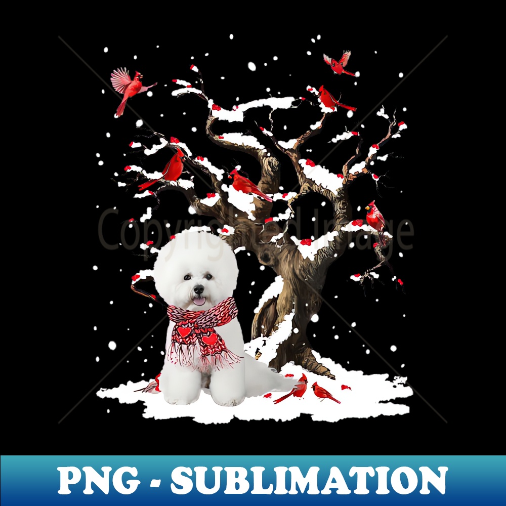 QV-20231114-22636_White Bichon Frise Scarf Cardinal Snow Christmas 6854.jpg