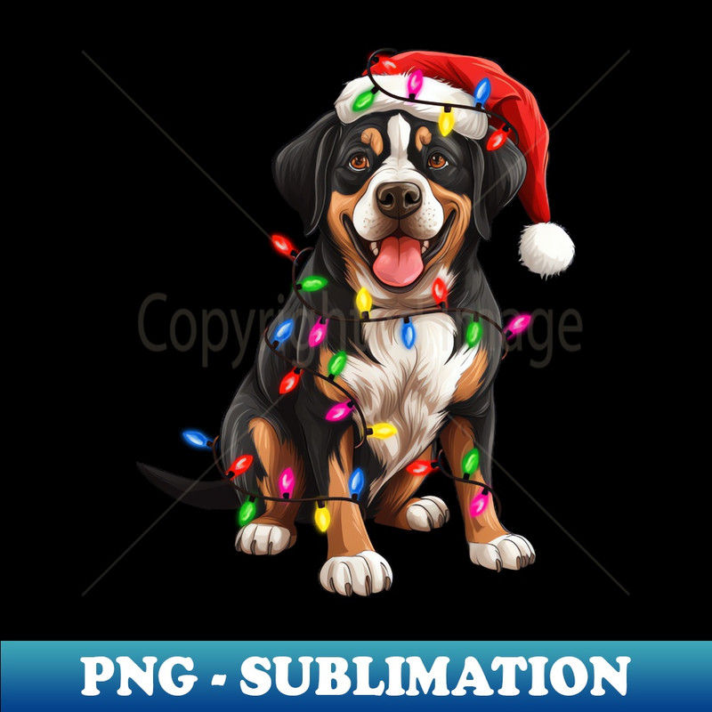 RL-20231114-4420_Christmas Dog Greater Swiss Mountain 7480.jpg