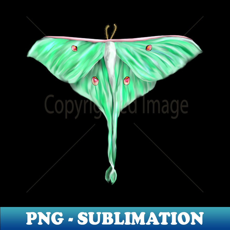 RT-20231114-9433_Green Lunar Moth Digital Art 1741.jpg