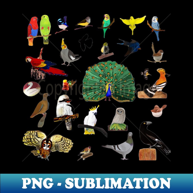 SK-20231114-2682_Bird Collage 6994.jpg