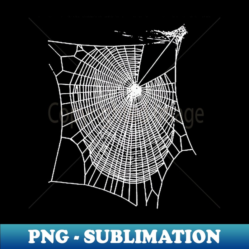 SM-20231114-8272_Fun Hand Drawn Spooky Halloween Spiders Web White 3177.jpg