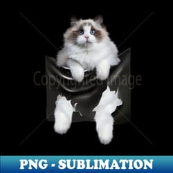 ragdoll cat indside pocket ragdoll cats cat lover - instant sublimation digital download - vibrant and eye-catching typography