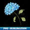 SS-20231114-10760_Hydrangea blue 3283.jpg