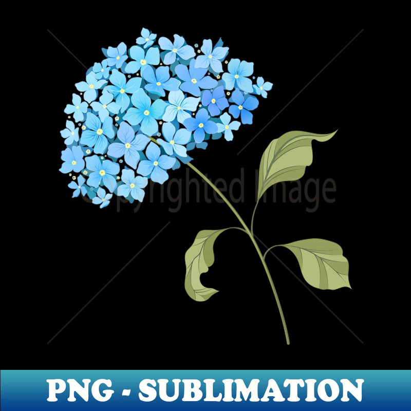 SS-20231114-10760_Hydrangea blue 3283.jpg
