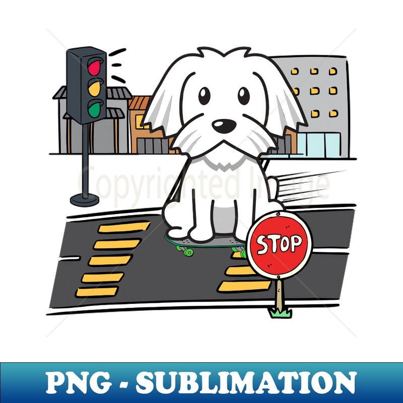 SV-20231114-5914_Cute white dog is skate boarding on the street 1068.jpg