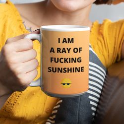 im a ray of sunshine - funny coffee mug, microwave & dishwasher safe, merchandise for kitchen