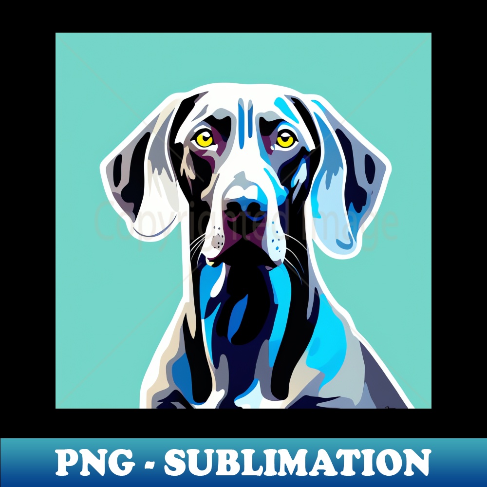 TR-20231114-22480_Weimaraner 1568.jpg