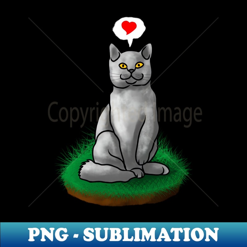 TR-20231114-9372_Gray cat show some love to everyone 1798.jpg