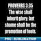 TS-20231114-16959_Proverbs 335 King James Version Bible Verse 4871.jpg