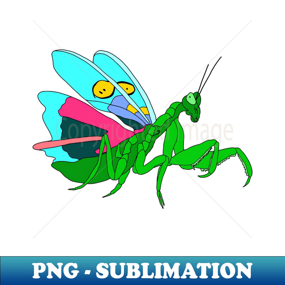 TT-20231114-4924_Colorful Praying Mantis Digital Art 7274.jpg