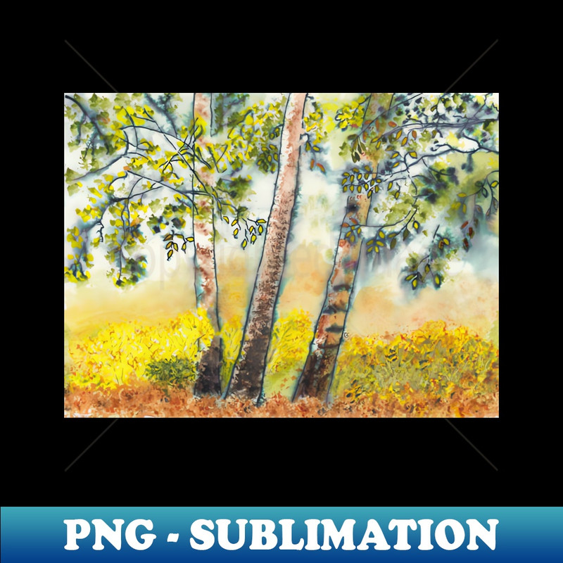 TW-20231114-1743_Autumn Birch Trees 7448.jpg