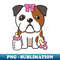 UF-20231114-5527_Cute bulldog is a baby - girl 3056.jpg