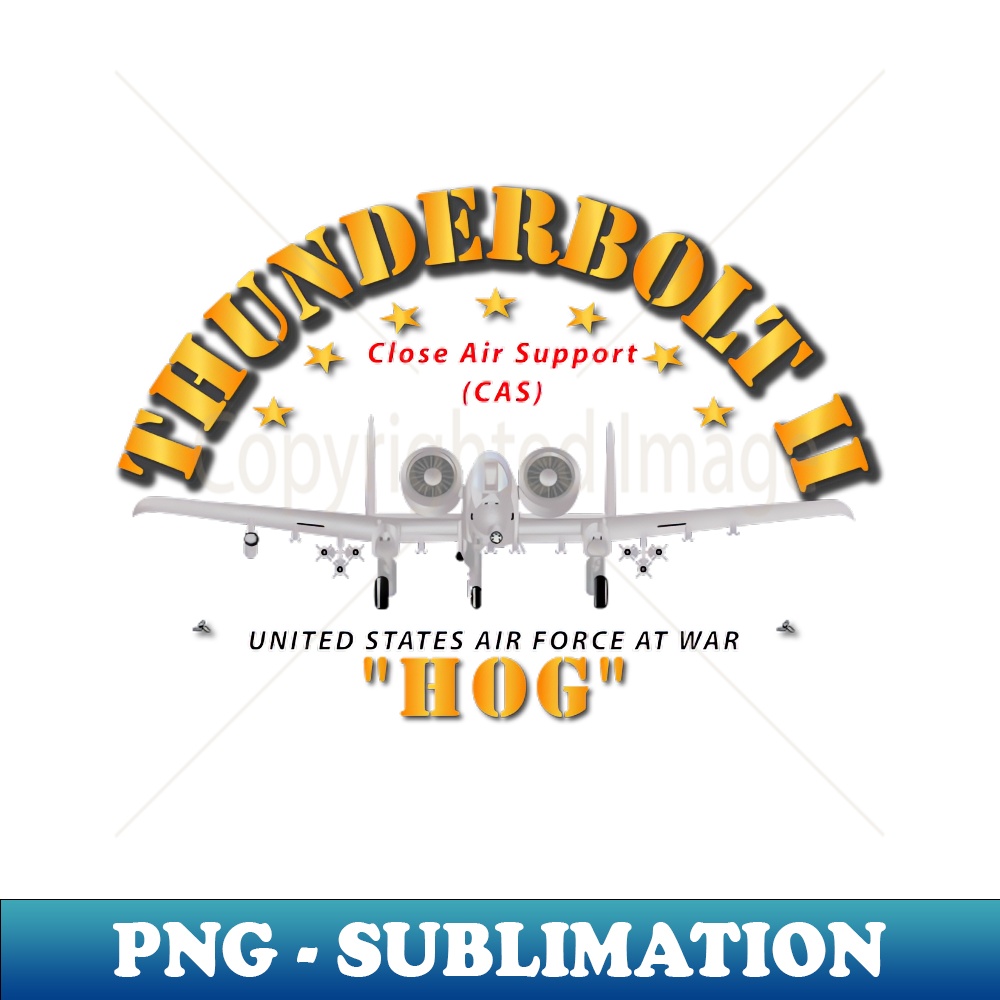 UQ-20231114-645_A-10A Thunderbolt II Fairchild Republic - Front 3469.jpg