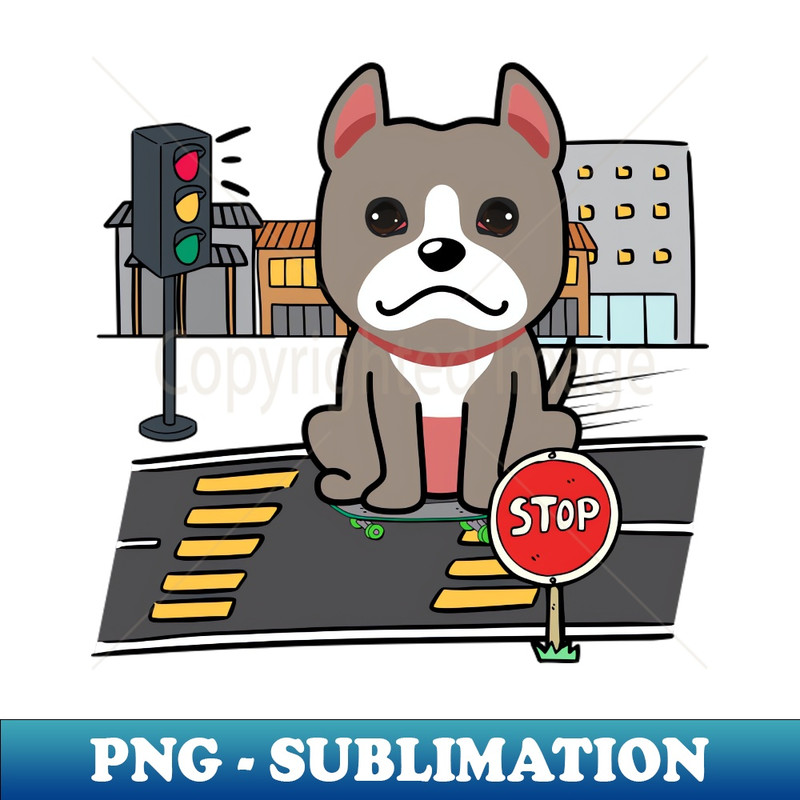 UU-20231114-5705_Cute grey dog is skate boarding on the street 5330.jpg