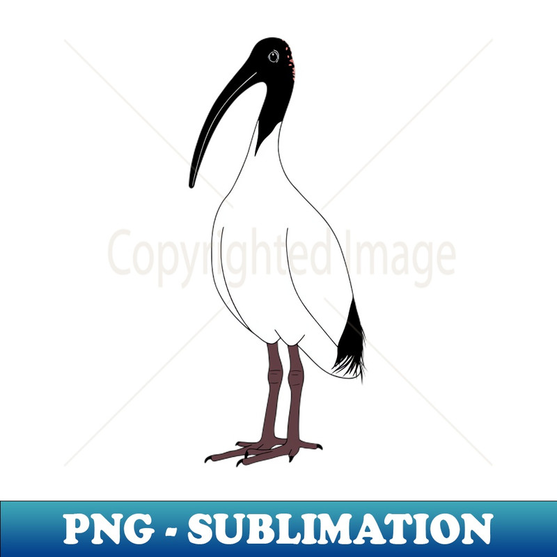 UW-20231114-2664_Bin Chicken 7108.jpg