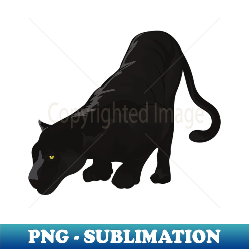 UZ-20231114-2869_black panther tshirt 5066.jpg
