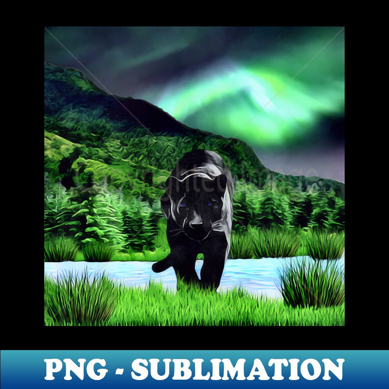 VC-20231114-2863_Black Panther 3042.jpg