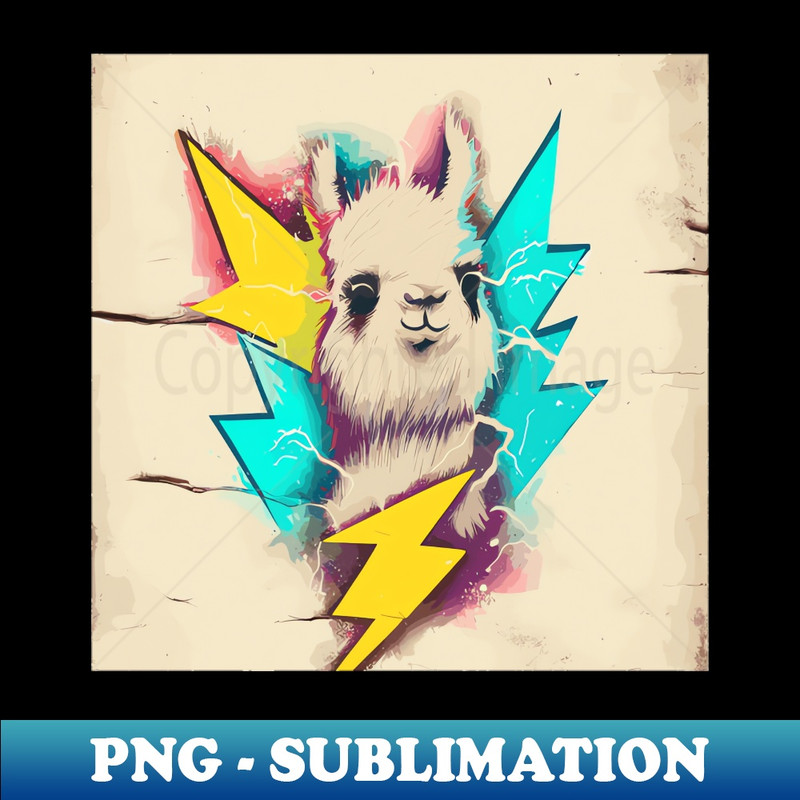 VG-20231114-19760_Street art graffiti rock and roll thunder llama 9945.jpg