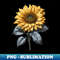 VI-20231114-17484_Realistic Sunflower 5099.jpg