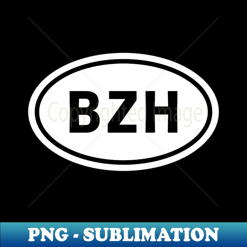 VQ-20231114-3596_BZH 3531.jpg