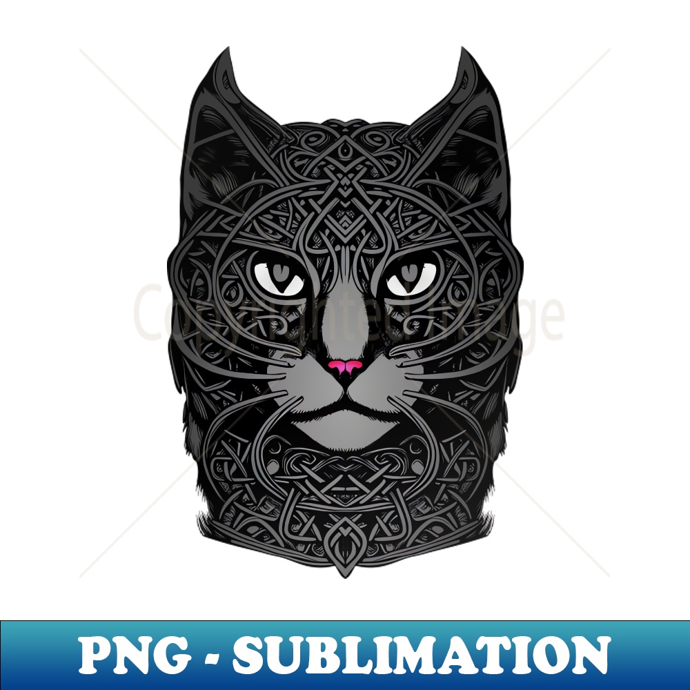 VR-20231114-22033_Viking Cat 6465.jpg