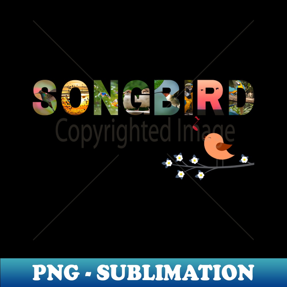 VU-20231114-19237_Songbird Music Fleetwood Mac 7579.jpg