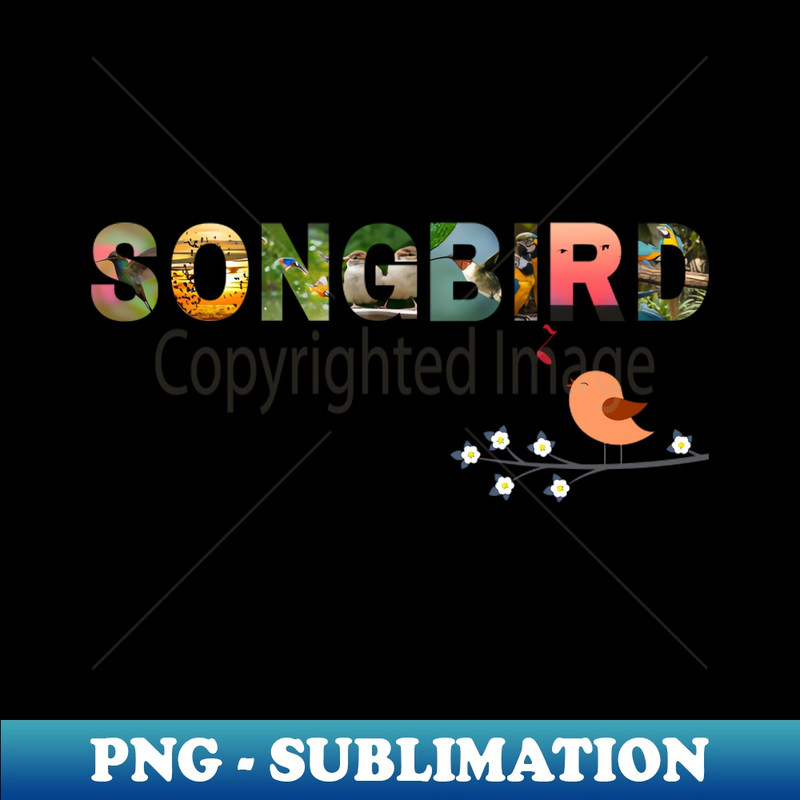 VU-20231114-19237_Songbird Music Fleetwood Mac 7579.jpg