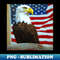 VW-20231114-10576_Honoring USA Independence Day with a Bald Eagle and American Flag Print 4698.jpg