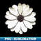 WJ-20231114-14606_Minimalistic White African Daisy Black Outline Art 7507.jpg
