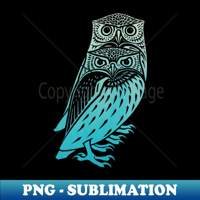 WK-20231114-16142_Owl Twins in Sky 7340.jpg