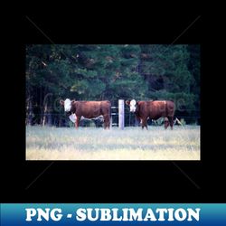 white face brown cattle - high-resolution png sublimation file - bring your designs to life