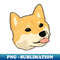 WL-20231114-6572_dog shibainu 9002.jpg
