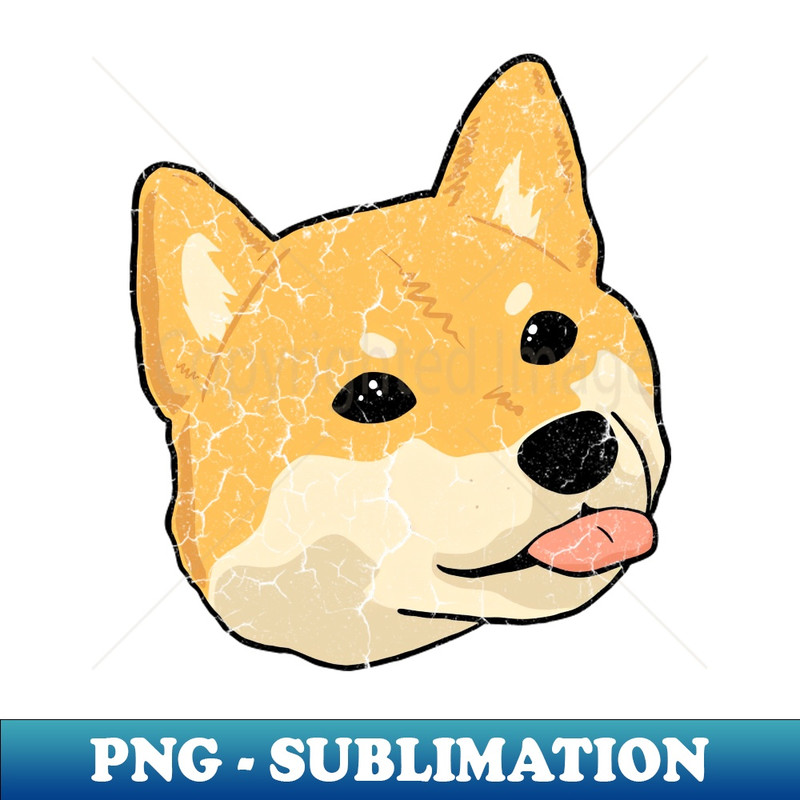 WL-20231114-6572_dog shibainu 9002.jpg