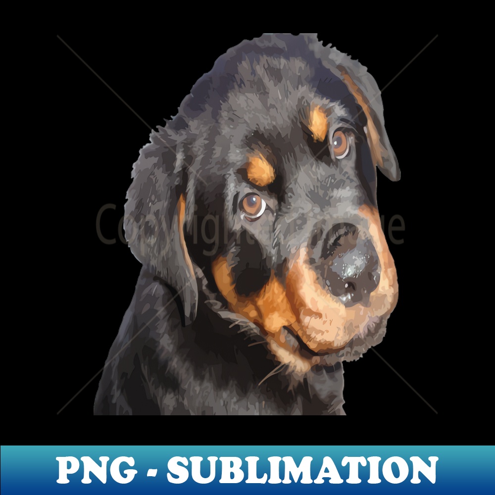 WL-20231114-7663_Female Rottweiler Puppy Making Eye Contact Vector 4609.jpg