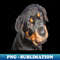 WL-20231114-7663_Female Rottweiler Puppy Making Eye Contact Vector 4609.jpg