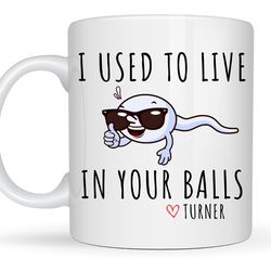 funny fathers day mug for dad, i used to live in your balls, dad birthday gift