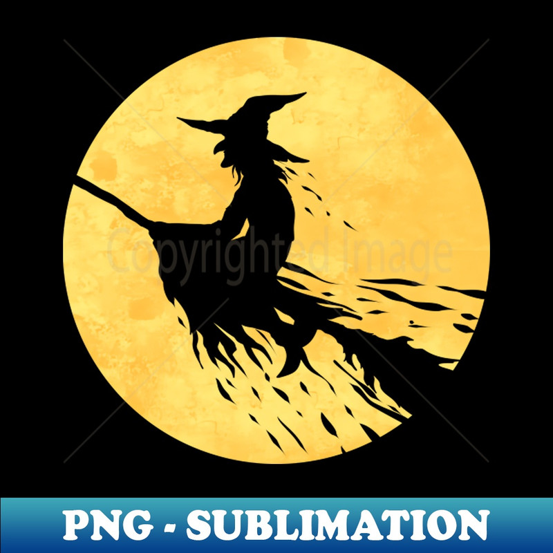 XE-20231114-22854_Witch On A Broom Flying In Front Of The Moon On Halloween 9048.jpg