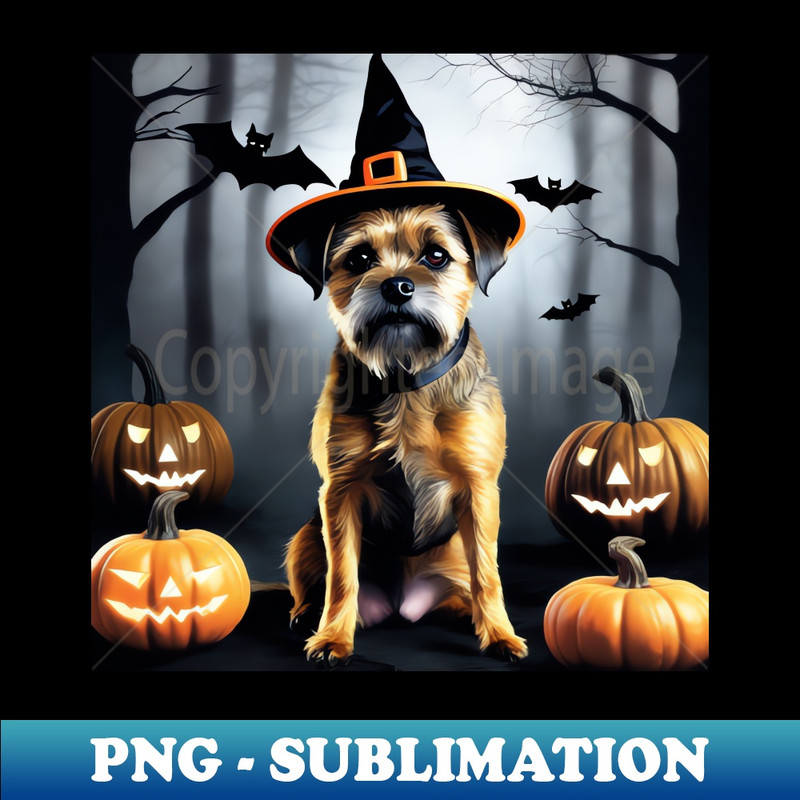 XH-20231114-3200_Border Terrier Balloween 8692.jpg